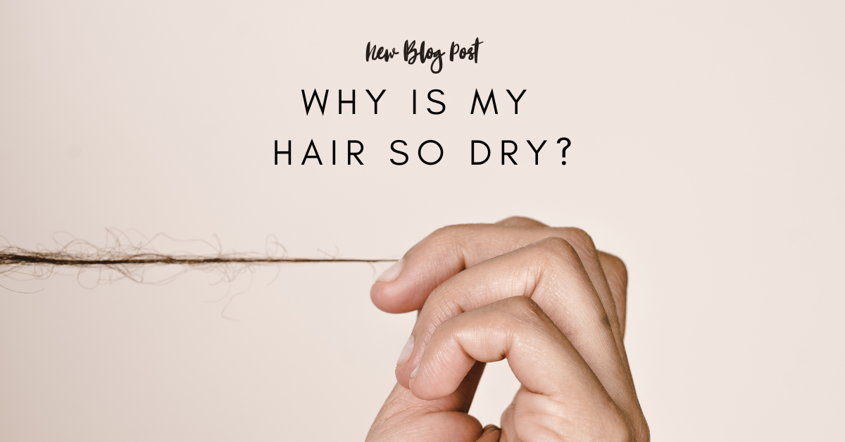 Base Hairdressing Why Is My Hair So Dry? Hairdressers in Warrington